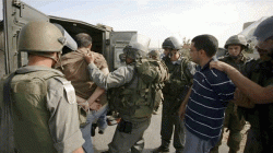 الاحتلال يعتقل 13 فلسطينياً من الضفة الغربية بينهم أسيرة سابقة