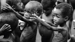 الأمم المتحدة تخصص 100 مليون دولار لمحاربة الجوع في العالم