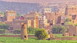 تدشين أنشطة الجبهة الزراعية بالجوف