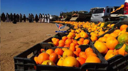 قافلة غذائية من آل سالم بصعدة دعماً للمرابطين في الجبهات