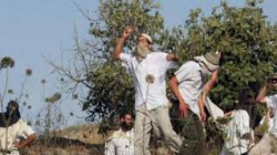 مستوطنون إسرائيليون يعتدون على فلسطينيين جنوب وغرب نابلس