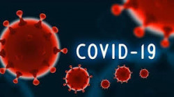 فيروس كورونا يودي بحياة أكثر من مليون و780 ألف شخص حول العالم