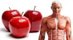تعرف على ما يحدث لجسمك عندما تأكل تفاحة كل يوم