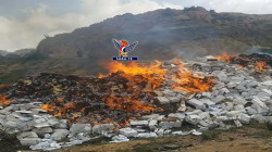 إتلاف 41 طناً من بذور البطاطس المحظورة في ذمار