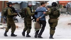 قوات الاحتلال تعتقل 29 فلسطينياً في الضفة الغربية