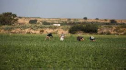 الاحتلال الإسرائيلي يطلق الرصاص على المزارعين الفلسطينيين شرق غزة