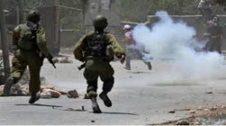 الاحتلال الإسرائيلي يعتدي على فلسطيني مسن ويعتقل نجله بأريحا