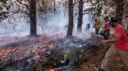 فقدان 15 شخصاً وإصابة آخرين جراء حرائق غابات في الأرجنتين
