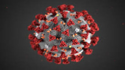 الإصابات بفيروس كورونا تتخطى عتبة الـ120 مليونا حول العالم
