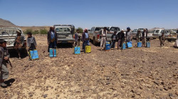 تدشين حملة مكافحة الآفات النباتية على أشجاز اللوز بمحافظة صنعاء