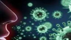 الصحة العالمية: هكذا وصل فيروس كورونا الى الانسان