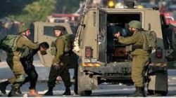 مستوطنون صهاينة يقتحمون الأقصى والاحتلال يعتقل 20 فلسطينياً من الضفة والقدس