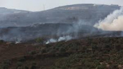 مستوطنون صهاينة يحرقون 50 شجرة زيتون معمرة في بيت فجار جنوب بيت لحم