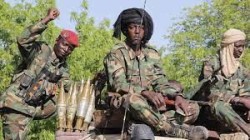 القوات التشادية تعلن مصرع 300 مسلح و5 جنود في شمال البلاد