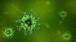 فيروس كورونا يودي بحياة أكثر من ثلاثة ملايين و224 ألف شخص حول العالم