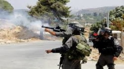 استشهاد فلسطينيين وإصابة ثالث برصاص الاحتلال غرب جنين واعتقال فلسطينيين اثنين في الخليل