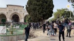 إصابة مئات الفلسطينيين خلال اقتحام قوات الاحتلال المسجد الأقصى بينها إصابات الخطيرة بالرأس والعين