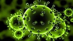 فيروس كورونا يودي بحياة أكثر من ثلاثة ملايين و305 آلاف شخص حول العالم