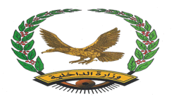 القبض على المسلحين والمتسببين في الاعتداء على متجر سما مول بصنعاء