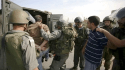 قوات الاحتلال تعتقل ثمانية فلسطينيين في الضفة الغربية