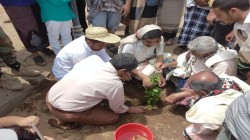 تدشين تشجير ساحات المرافق الحكومية بمحافظة الحديدة
