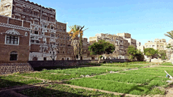 الزراعة والأوقاف يناقشان التنسيق للاستثمار في المجال الزراعي
