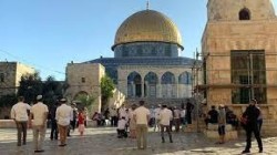 مستوطنون بينهم المتطرف غليك يقتحمون الأقصى وآخرون يحطمون أشجار زيتون في جالود