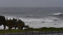 العاصفة إلسا تتحول إلى إعصار مع اقترابها من سواحل فلوريدا