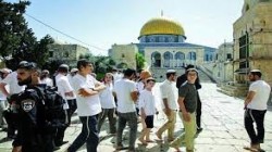 عشرات المستوطنين يقتحمون الأقصى بحماية الاحتلال