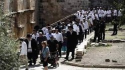 مئات المستوطنين يجددون اقتحام الأقصى بحماية قوات الاحتلال