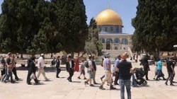 الاحتلال الإسرائيلي يقتحم المسجد الأقصى ويعتدي على المصلين