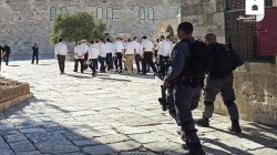 الأوقاف بالقدس: 1000مستوطن اقتحموا الأقصى اليوم وحاصروا مرابطين بالمسجد القبلي
