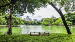 تايلاند تغلق الحدائق وما تبقى من أماكن عامة لمواجهة تفشي فيروس (كورونا)