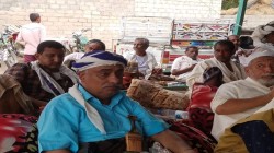 فعالية في الزيدية بالحديدة لإحياء ذكرى يوم الولاية
