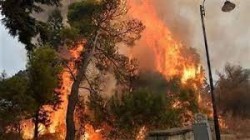مصرع أربعة أشخاص وإصابة 50 إخرين في حرائق الغابات جنوب تركيا