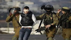 الاحتلال الإسرائيلي يعتقل 12 مواطنا فلسطينيا شرق طوباس