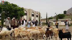 أبناء السدة في إب يسيرون قافلة للمرابطين في الجبهات