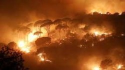 حريق غابات في كاليفورنيا يمتد لمساحات شاسعة ويدمر مئات المباني