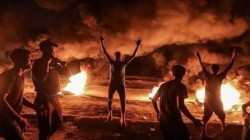 فعاليات 