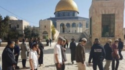 عشرات المستوطنين يجددون اقتحام المسجد الأقصى بحماية قوات الاحتلال