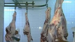 البرازيل تعلق صادراتها من لحوم الأبقار إلى الصين إثر اكتشاف إصابتين بجنون البقر