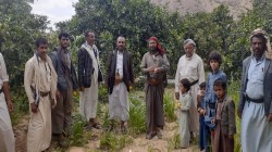 اجتماع في مديرية صرواح بمأرب للتحشيد الزراعي