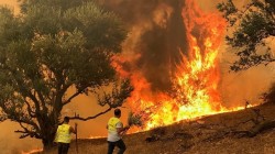 السلطات الجزائرية  تقضي بسجن عشرات المشتبه بأنهم افتعلوا الحرائق