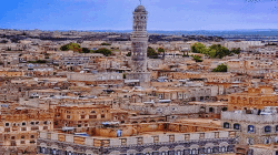 لقاء في ضوران بذمار يناقش جهود التواصل مع المغرر بهم