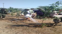 محافظ تعز يدشن حملة التشجير والنظافة