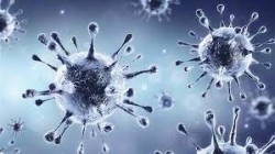 فيروس كورونا يحصد أرواح أكثر من أربعة ملايين و767 ألف شخص حول العالم