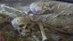 عمر إحداها 32 ألف عام..العثور على جمجمتين متحجرتين للإنسان فى الصين