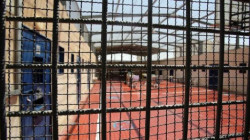 7 أسرى يواصلون إضرابهم المفتوح عن الطعام في سجون الاحتلال