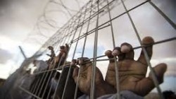 سبعة من الأسرى الفلسطينيين يواصلون إضرابهم عن الطعام