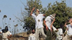 12 إصابة في هجوم للمستوطنين على منازل الفلسطينيين  في بورين جنوب نابلس